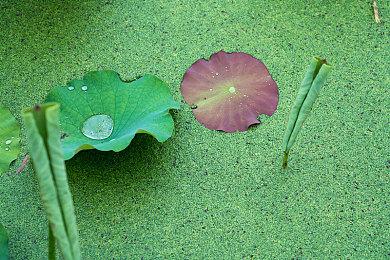 《守望先锋2》“入侵”预告 大量全新内容8月10日上线